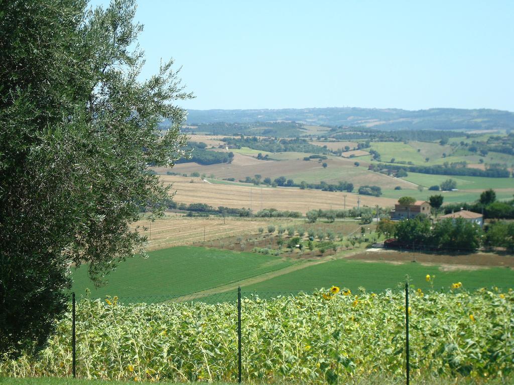 Podere Fontegallo Кастільйоне-дель-Лаго Екстер'єр фото