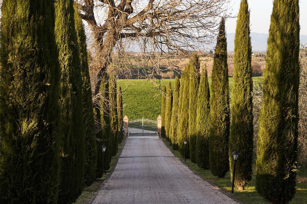 Podere Fontegallo Кастільйоне-дель-Лаго Екстер'єр фото
