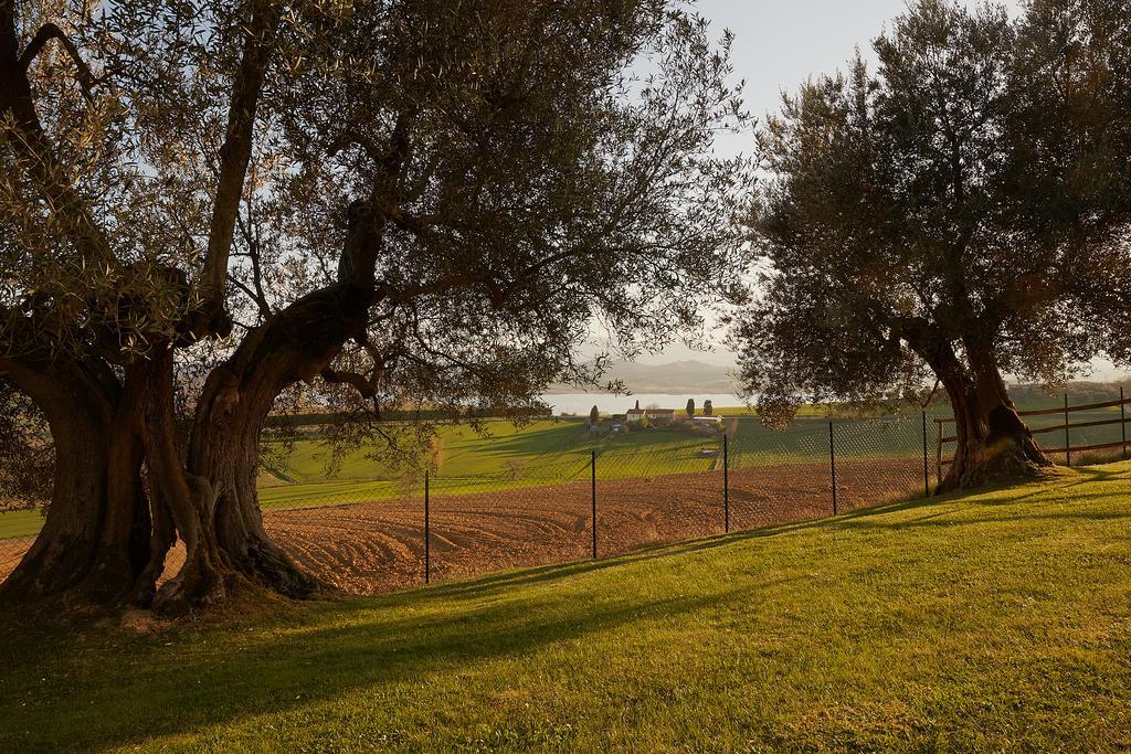 Podere Fontegallo Кастільйоне-дель-Лаго Екстер'єр фото