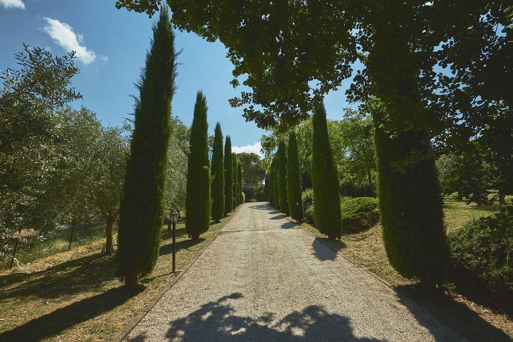 Podere Fontegallo Кастільйоне-дель-Лаго Екстер'єр фото